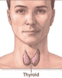 Causes of Hypothyroidism