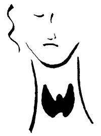 Symptoms of Hypothyroidism in Women